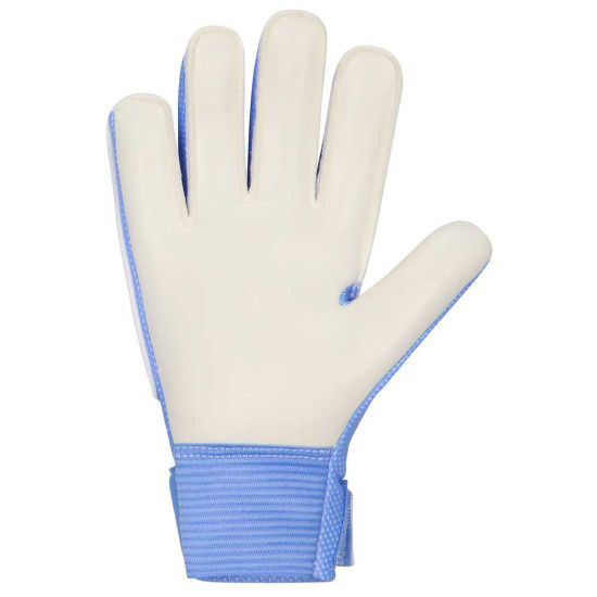 Nike Παιδικά γάντια τερματοφύλακα Match Goalkeeper Gloves